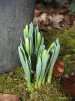 003_600x800.webp