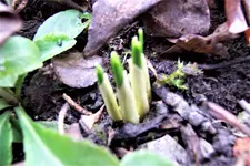 100_3524.JPG