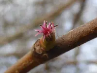 P1040437.webp