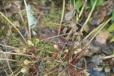 comp_DSC06187.webp