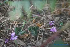 comp_DSC06184.webp