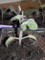 P2200349.webp