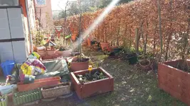 20170215_120251_resized.webp