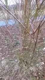 WP_20170218_14_01_32_Pro.webp