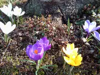 Foto0229.webp