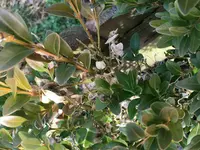 IMG_9608.webp IMG_9608.webp