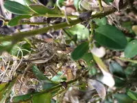 IMG_9607.webp IMG_9607.webp