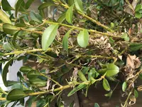 IMG_9606.webp IMG_9606.webp