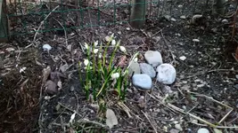 20170222_174637.webp