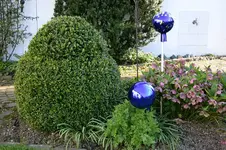 Buchs1408.webp