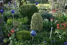 Buchs1208.webp