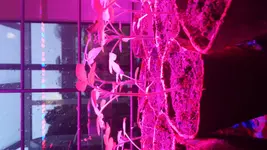 20170223_172220.jpg