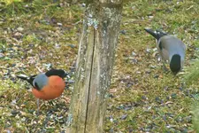 DSCF8558 (2).webp
