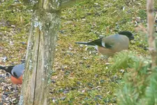 DSCF8559 (2).webp