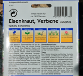 Verbena bonariensis_Saat_800.JPG