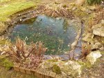 20170224_160732.jpg