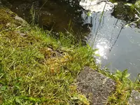 20160526_161403.jpg