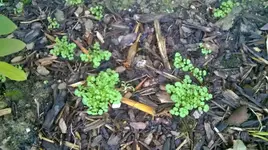 WP_20170224_003.webp
