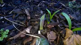 WP_20170224_002.webp