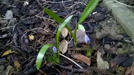 WP_20170224_001.webp