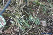 comp_DSC06190.webp