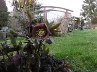 P1000218.webp
