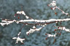 DSCF8579 (2).webp