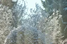 DSCF8582 (2).webp
