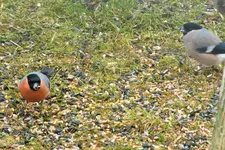 DSCF8566 (2).webp