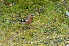 DSCF8571 (2).webp