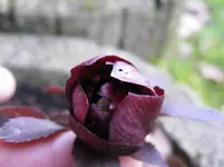 009_1067x800.webp