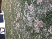 IMG_1710.webp