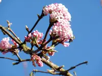 P1240516.webp