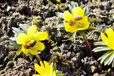 DSCF8585 (2).webp