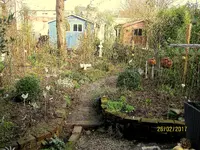 IMG_7333.webp