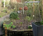 IMG_7334.JPG