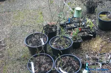 comp_DSC06197.webp