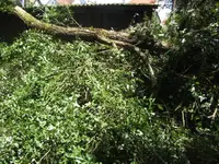 BILD5215.webp