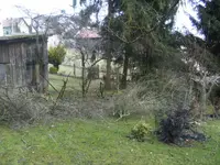 BILD6238.webp