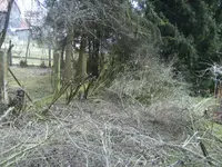 BILD6240.webp