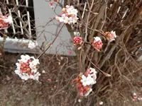 DSC08819.webp