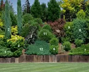 garden.png