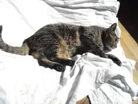 IMGP4606.webp