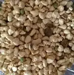 400_3736356236393861.webp