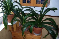 100_3570.JPG