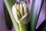 100_3567.JPG