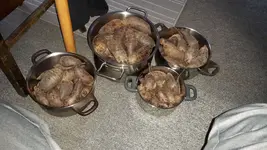 IMG-20170301-WA0000.webp