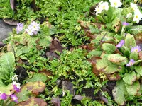 IMG_7671.webp