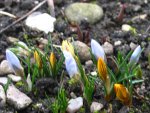 IMG_7677.JPG