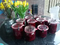 20170301_180445.webp